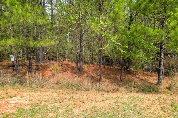 $14,500 | 1048 Longleaf Way, Lincolnton, GA 30817