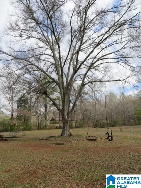 1566 Jackson Trace Road Talladega, AL 35160 - Photo 43 of 47