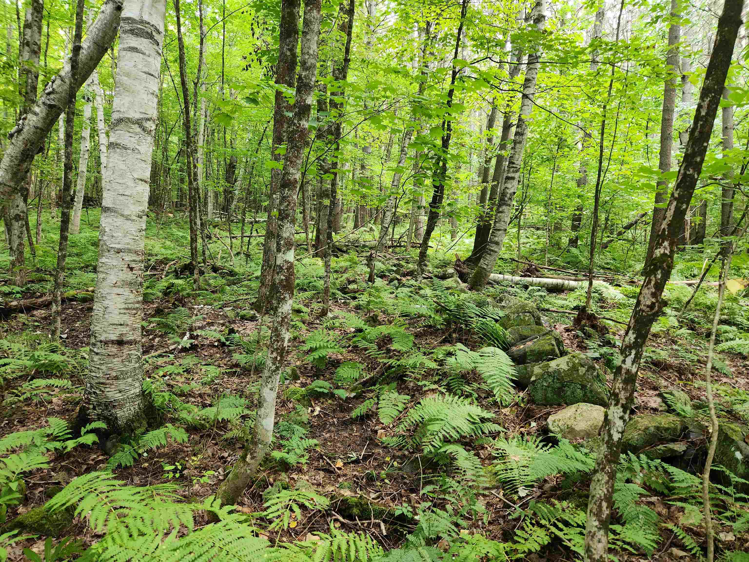 68 Preston Road Lyme, NH 03768 - Photo 17 of 17