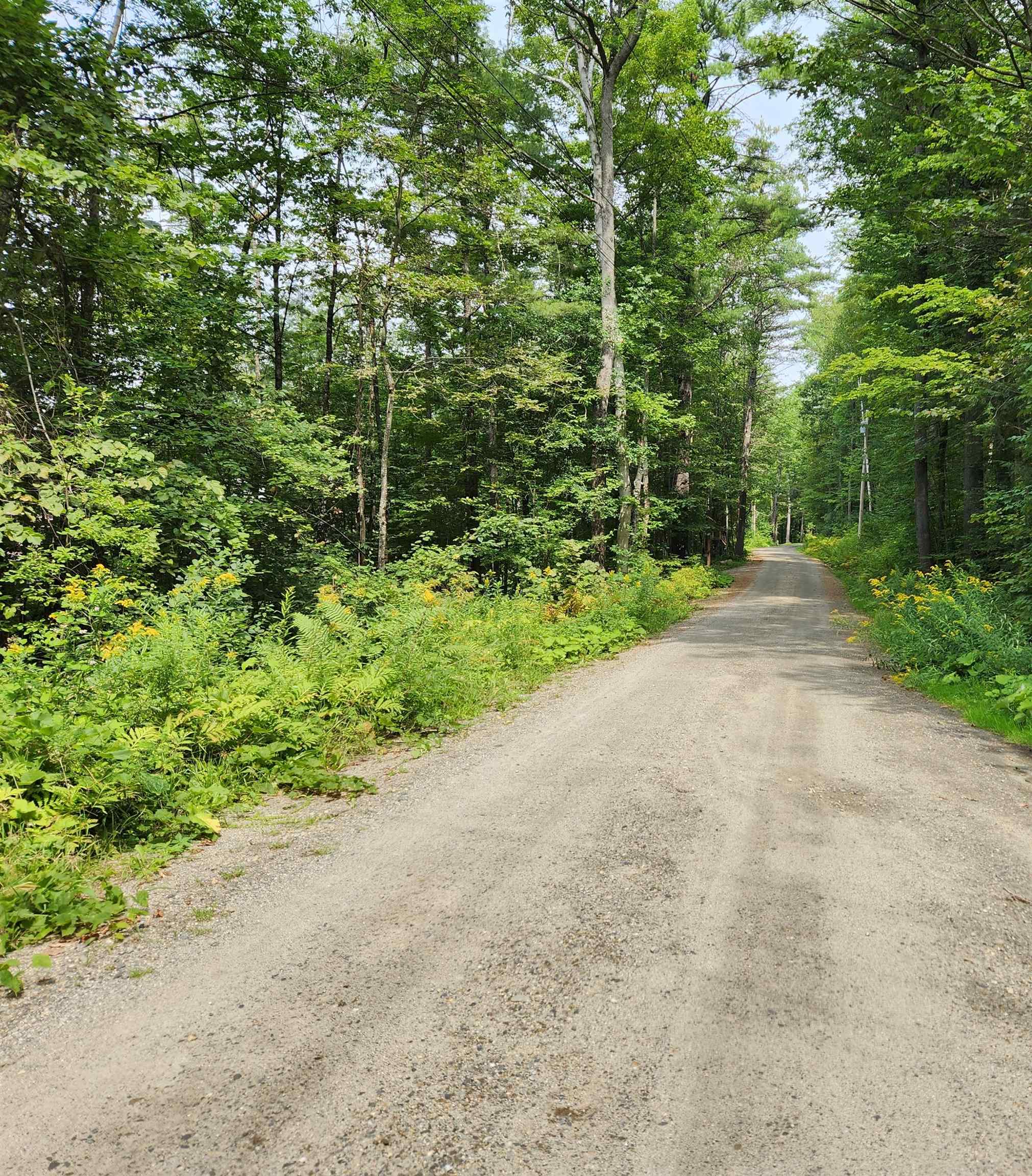 68 Preston Road Lyme, NH 03768 - Photo 2 of 17