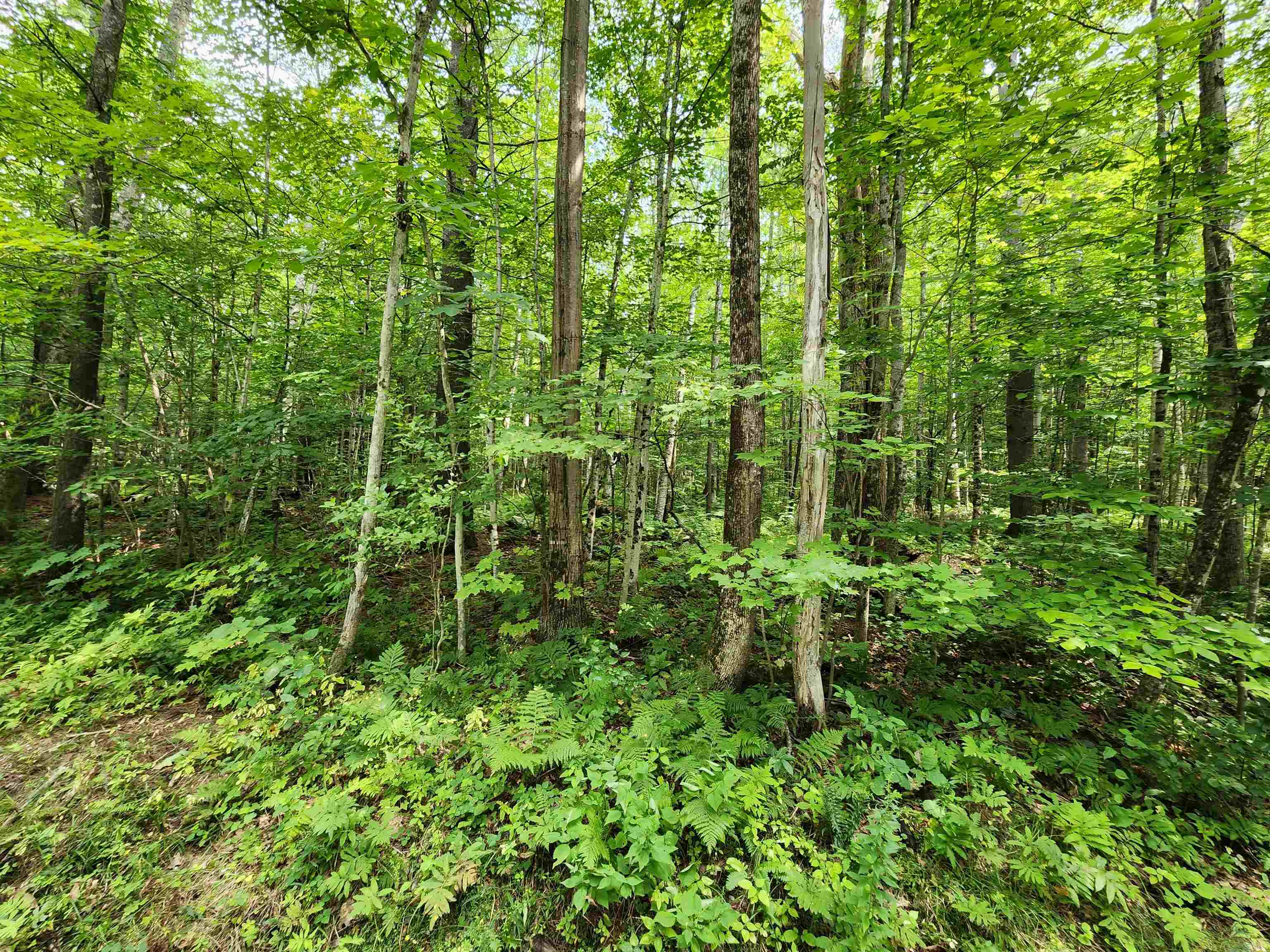 68 Preston Road Lyme, NH 03768 - Photo 9 of 17
