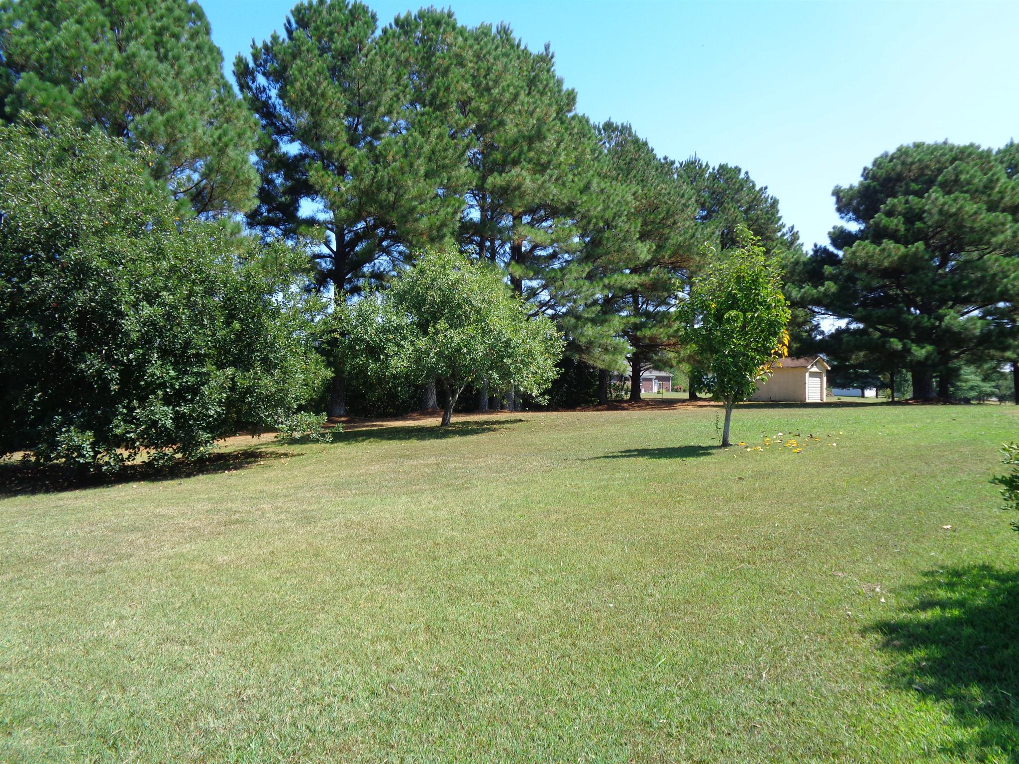 18 Ford Road Leoma, TN 38468 - Photo 19 of 25