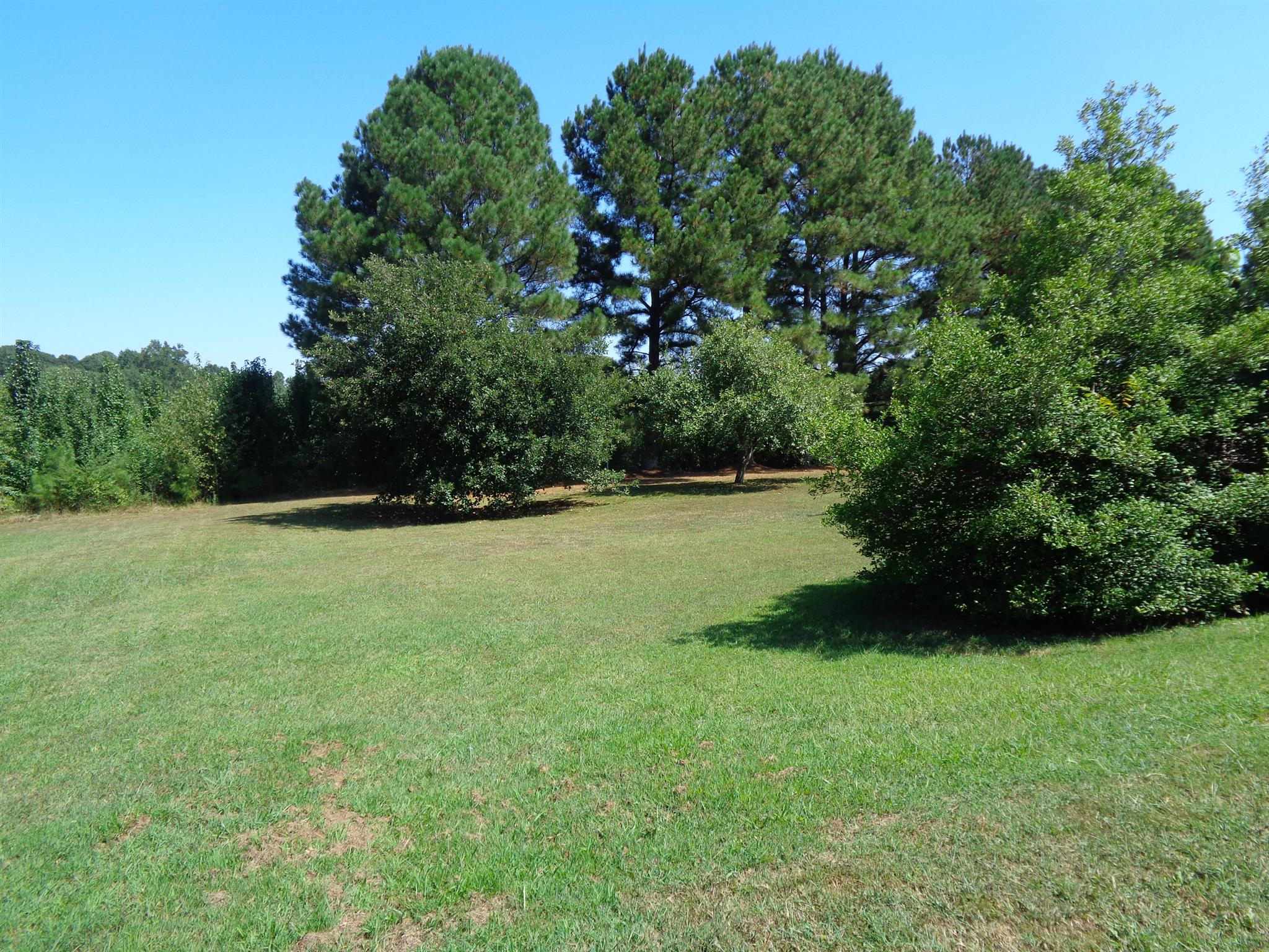 18 Ford Road Leoma, TN 38468 - Photo 20 of 25
