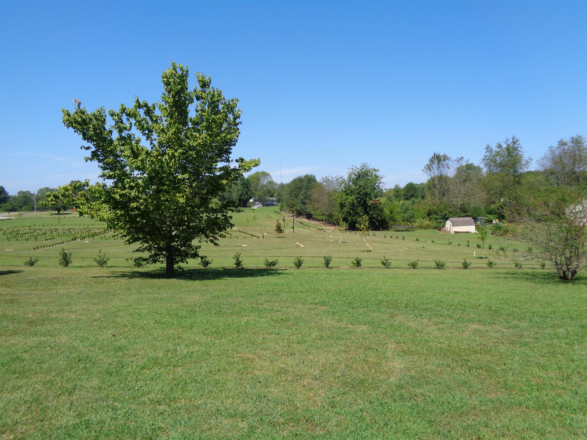 18 Ford Road Leoma, TN 38468 - Photo 21 of 25