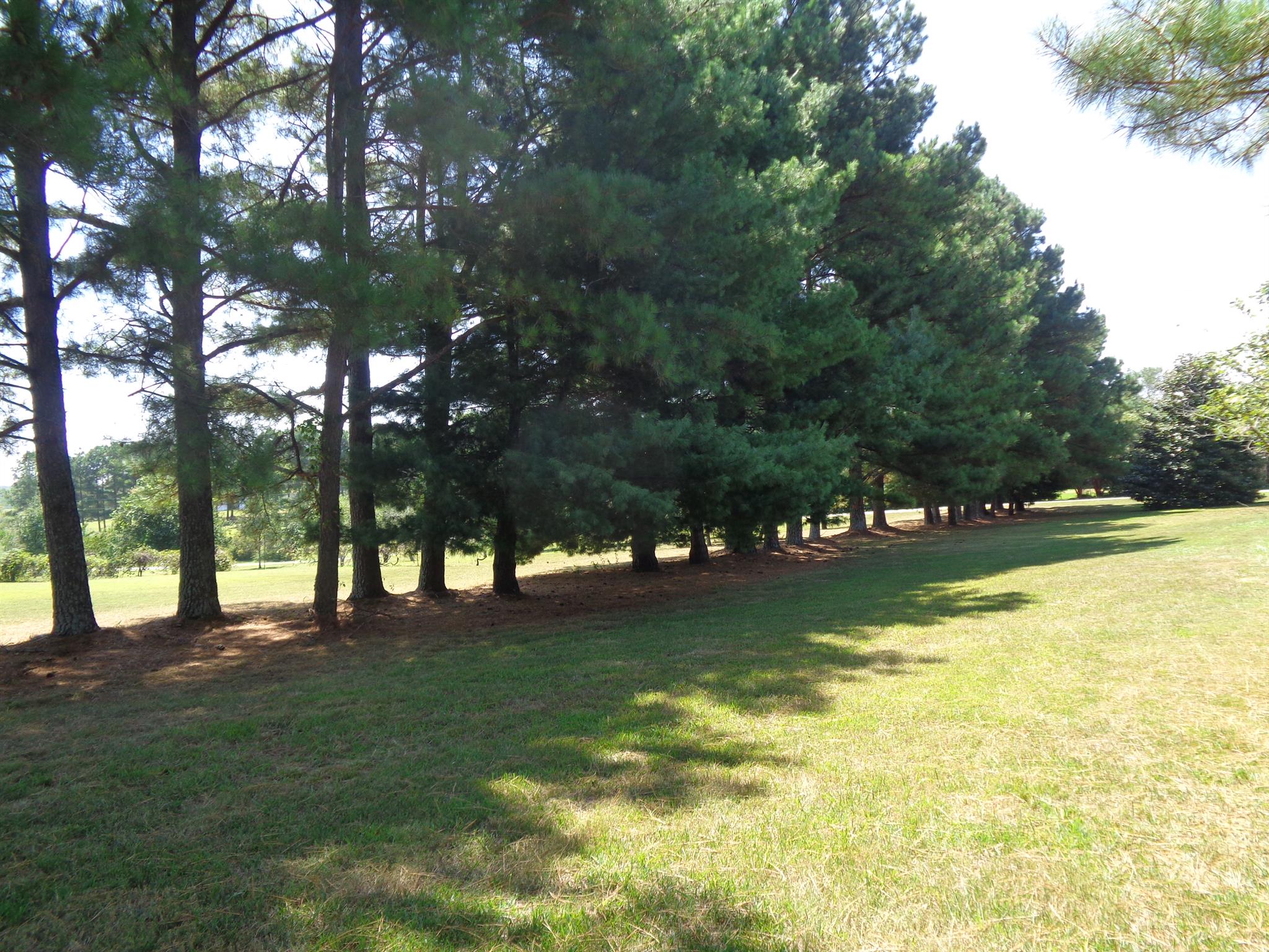 18 Ford Road Leoma, TN 38468 - Photo 24 of 25