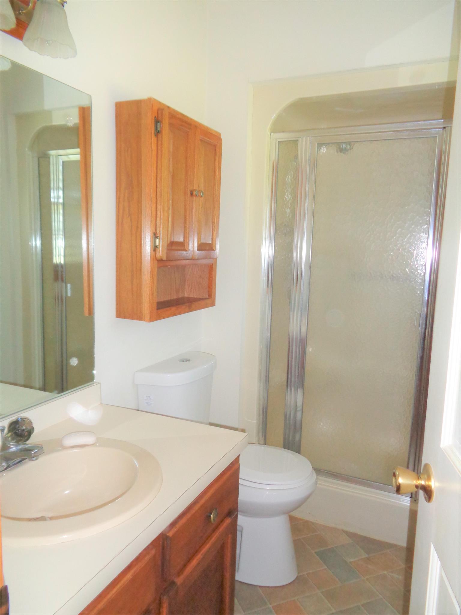 18 Ford Road Leoma, TN 38468 - Photo 8 of 25 Master Bath