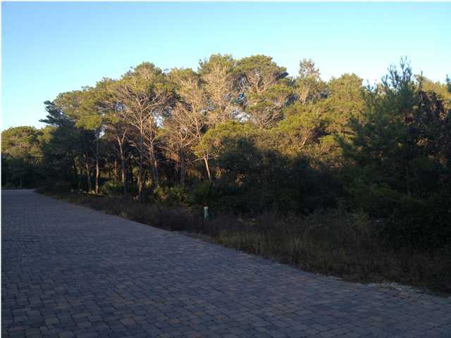 Lot 4 Wild Dunes Way Inlet Beach Inlet Beach, FL 32461 - Photo 1 of 4 a view of outdoor space and yard