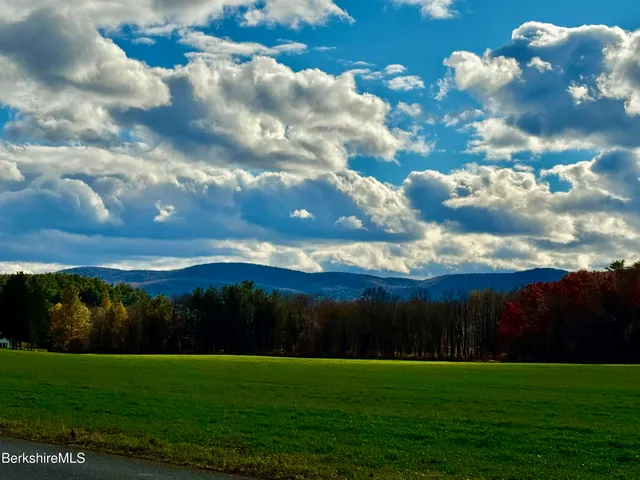 a view of a big yard