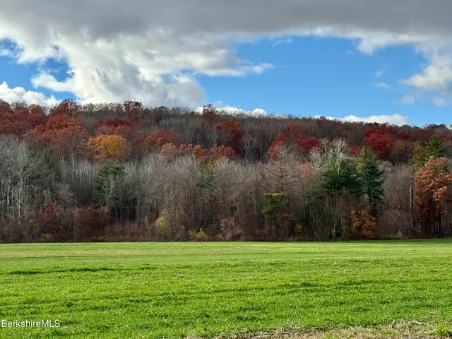 a view of a grassy field with mountains in the background