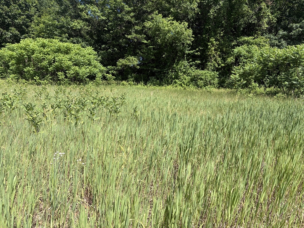 0 Straits Road Hatfield, MA 01038 - Photo 2 of 7 a view of a garden