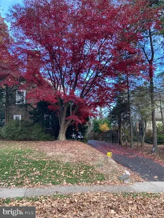 a view of a yard with a tree