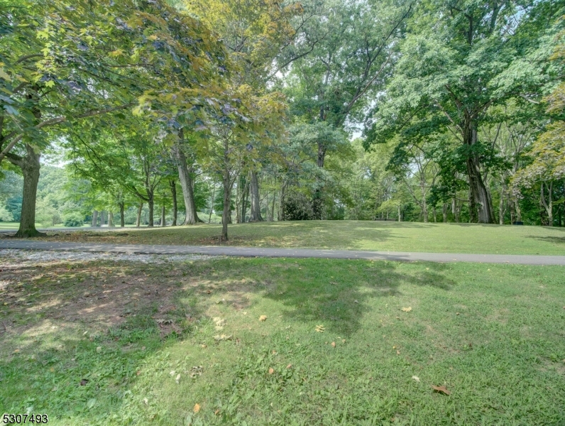 449 Grove Street Montclair, NJ 07043 - Photo 23 of 23 a view of outdoor space with trees all around