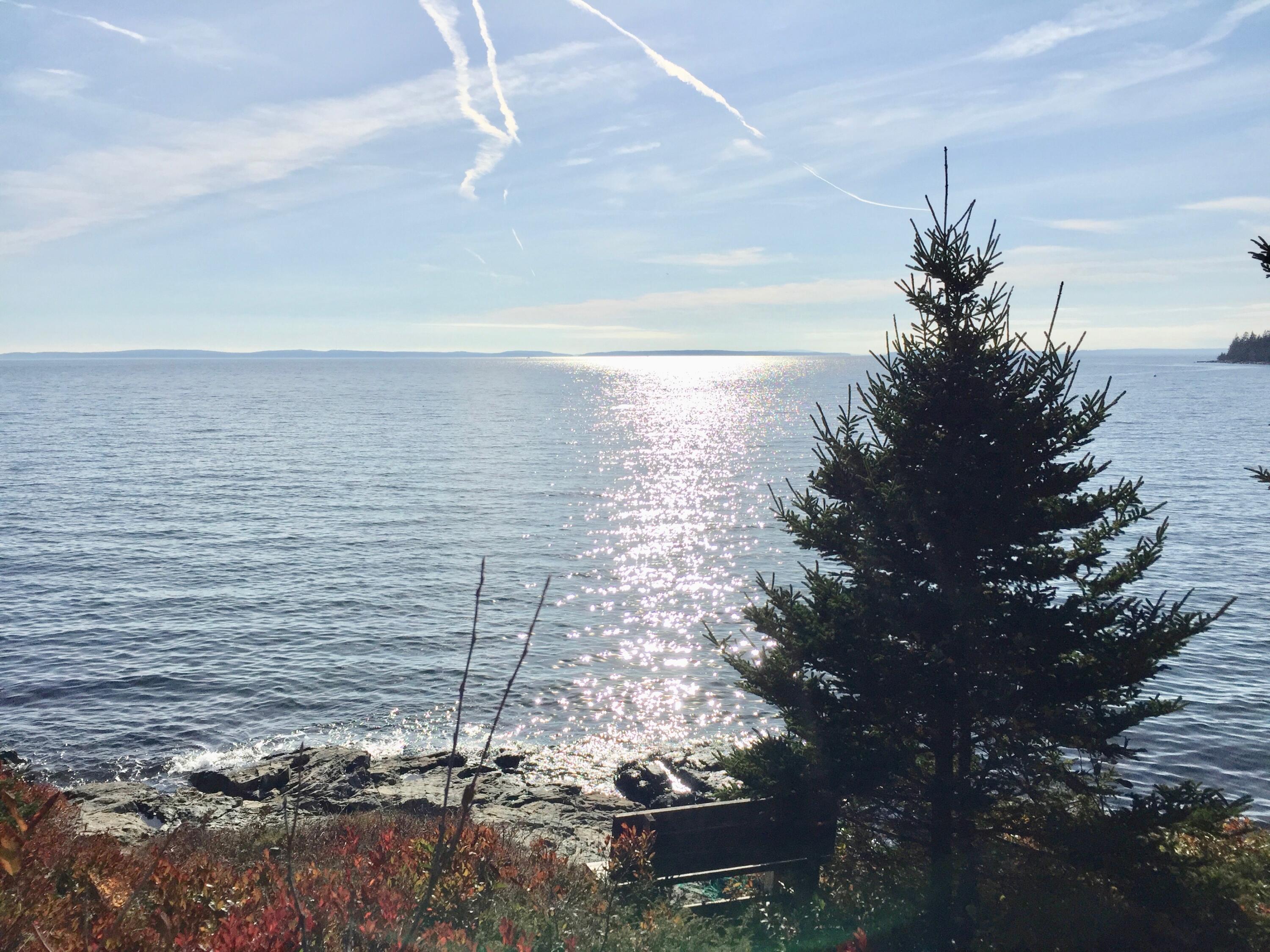 16 Rocky Coast Road Tremont, ME 04612 - Photo 6 of 40 IMG_2783