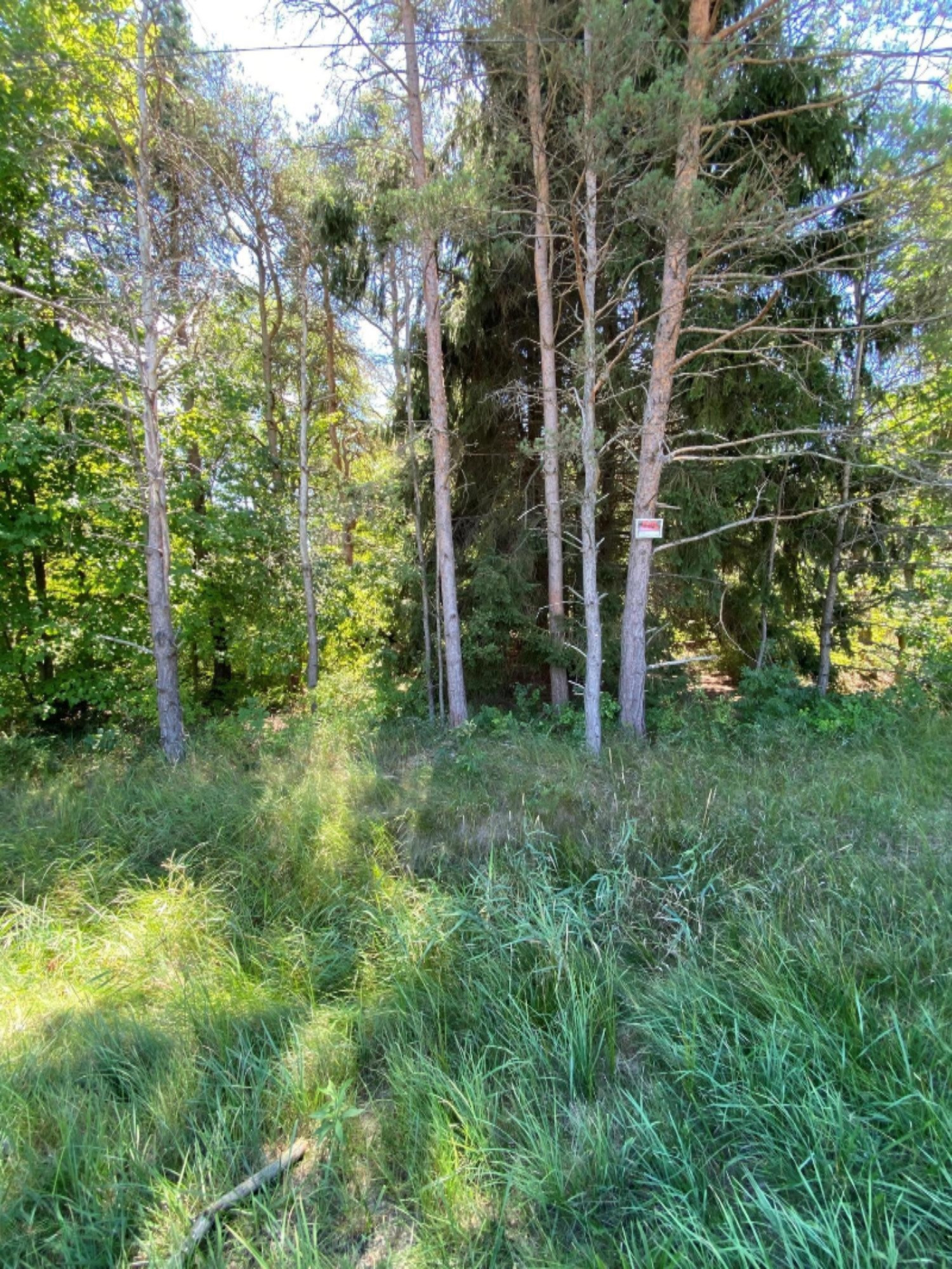 0 East Riley-Thompson Road Muskegon, MI 49445 - Photo 4 of 4 4