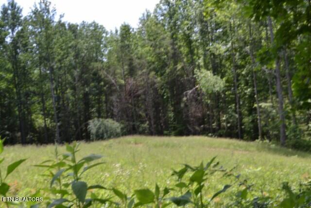 2390 Pea Ridge Fire Tower Road Celina, TN 38551 - Photo 5 of 58 DSC_0070