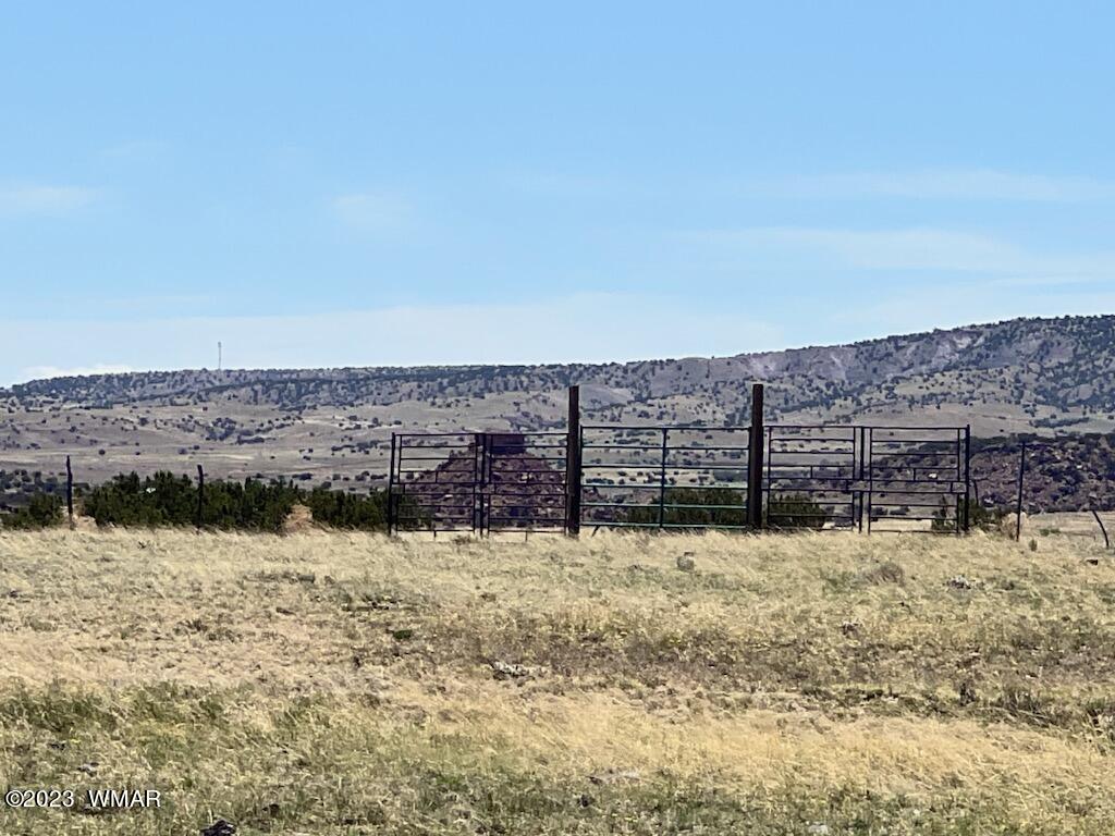 30 County Road Concho, AZ 85924 - Photo 11 of 30