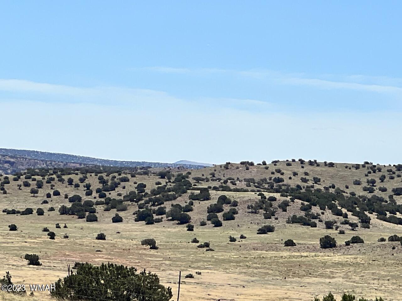 30 County Road Concho, AZ 85924 - Photo 12 of 30