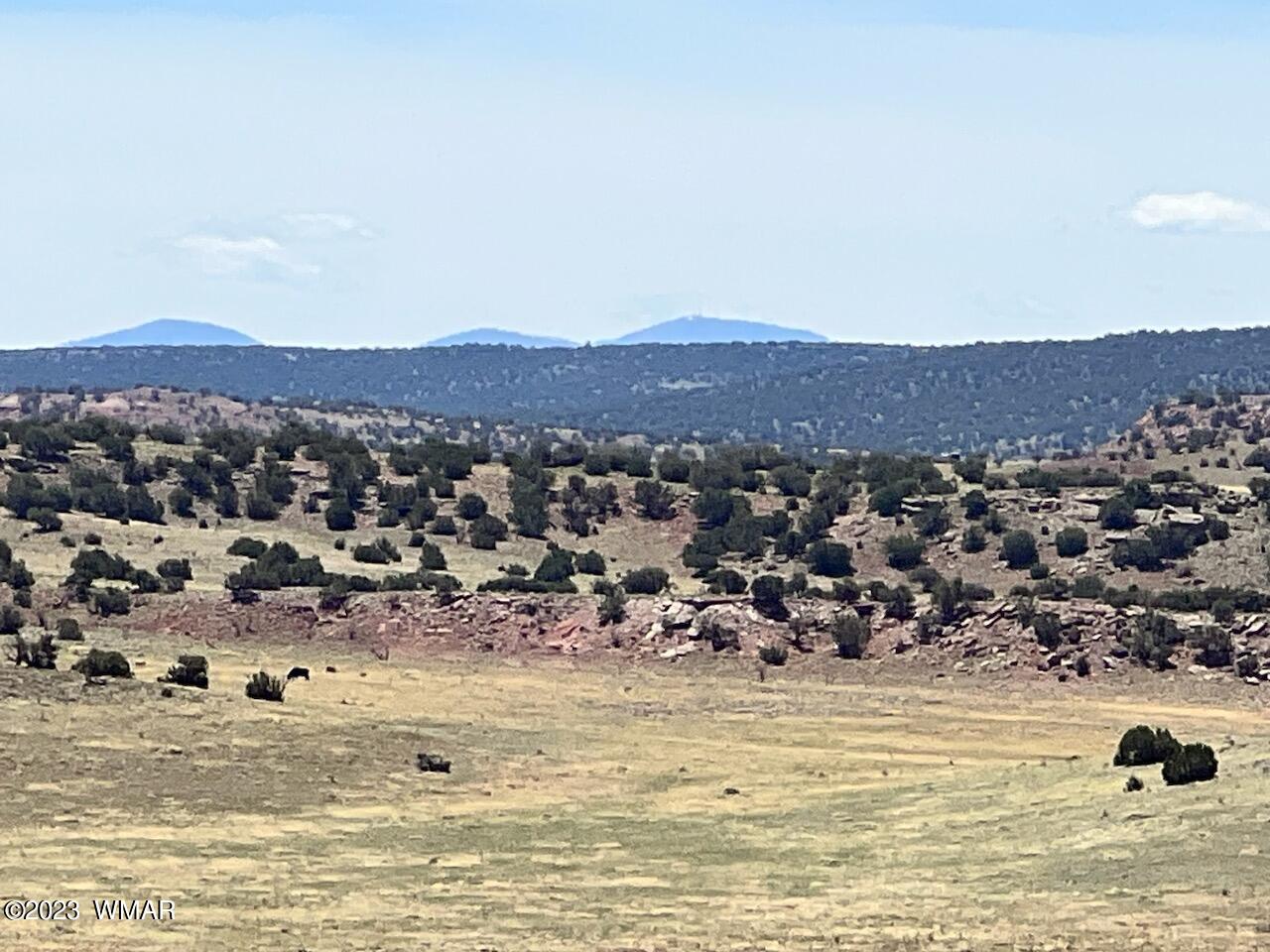30 County Road Concho, AZ 85924 - Photo 13 of 30