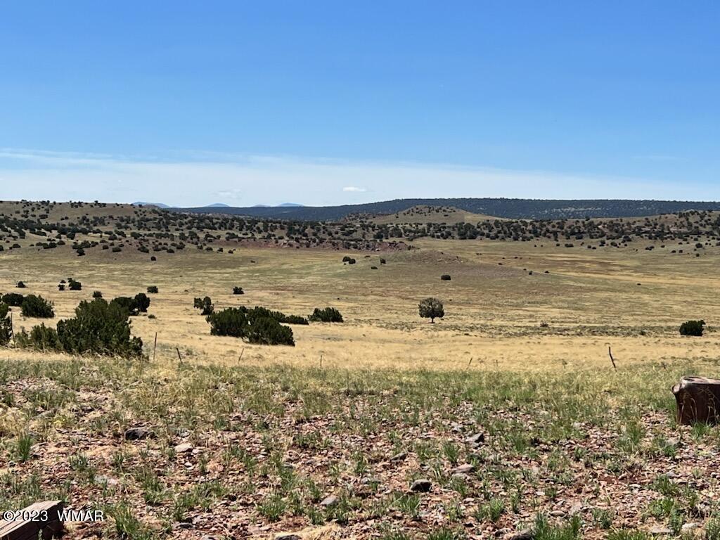 30 County Road Concho, AZ 85924 - Photo 14 of 30