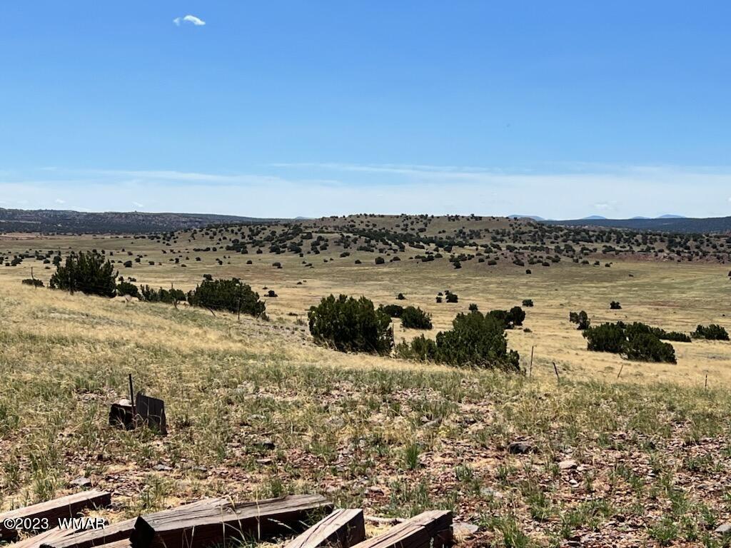 30 County Road Concho, AZ 85924 - Photo 15 of 30