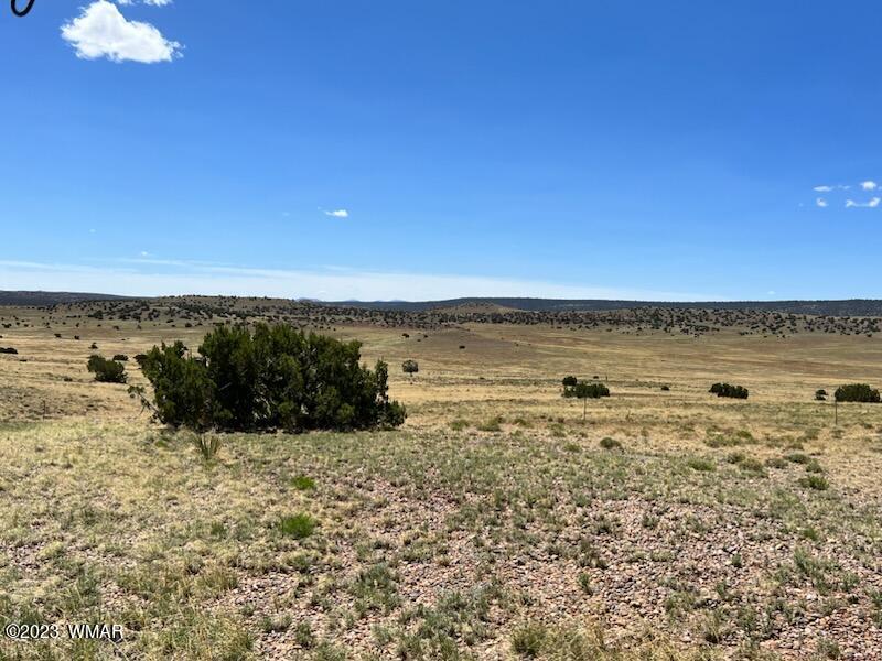 30 County Road Concho, AZ 85924 - Photo 17 of 30