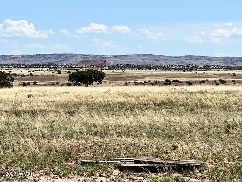 30 County Road Concho, AZ 85924 - Photo 18 of 30