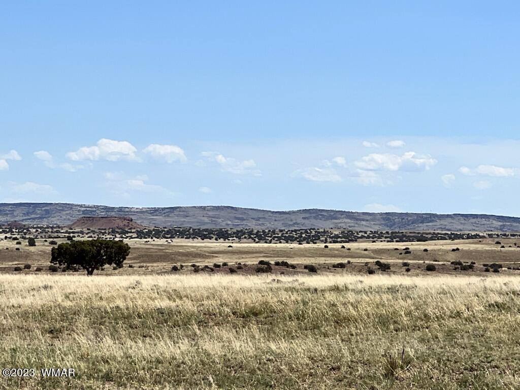 30 County Road Concho, AZ 85924 - Photo 19 of 30