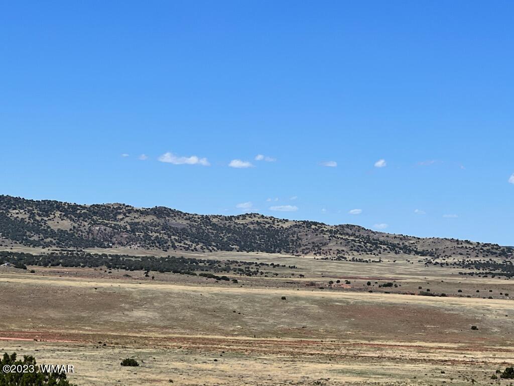 30 County Road Concho, AZ 85924 - Photo 21 of 30