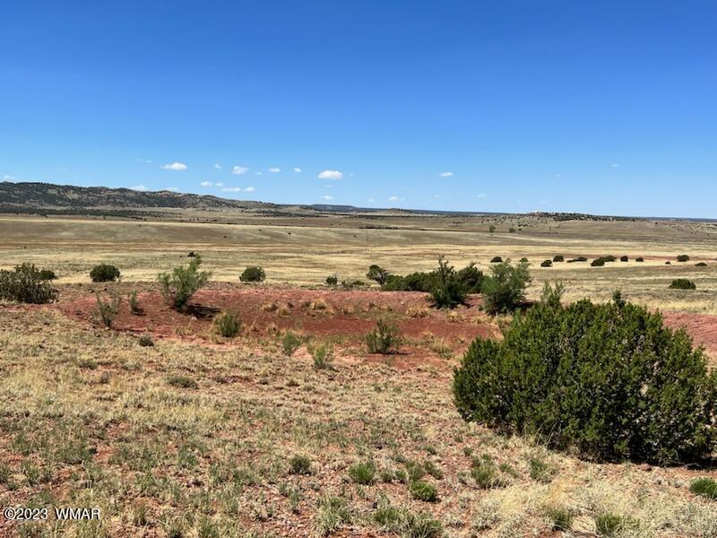 30 County Road Concho, AZ 85924 - Photo 24 of 30