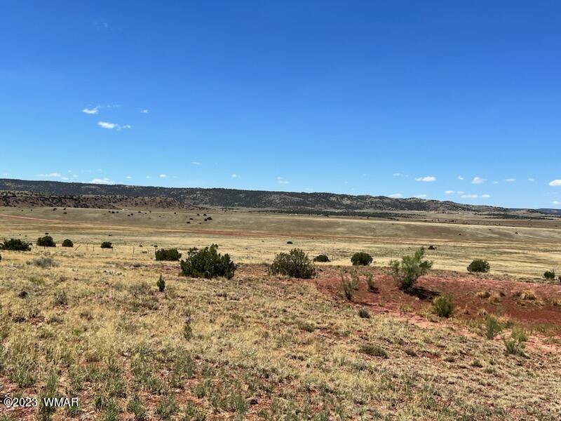 30 County Road Concho, AZ 85924 - Photo 25 of 30
