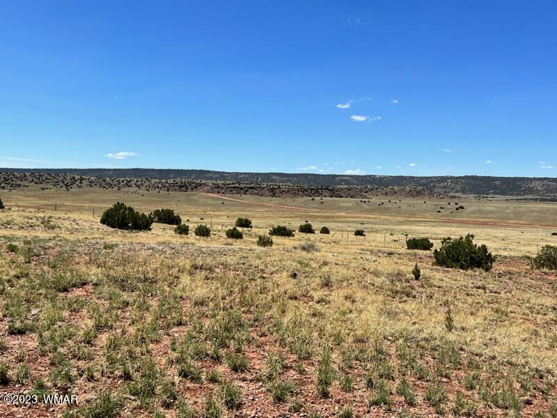 30 County Road Concho, AZ 85924 - Photo 26 of 30