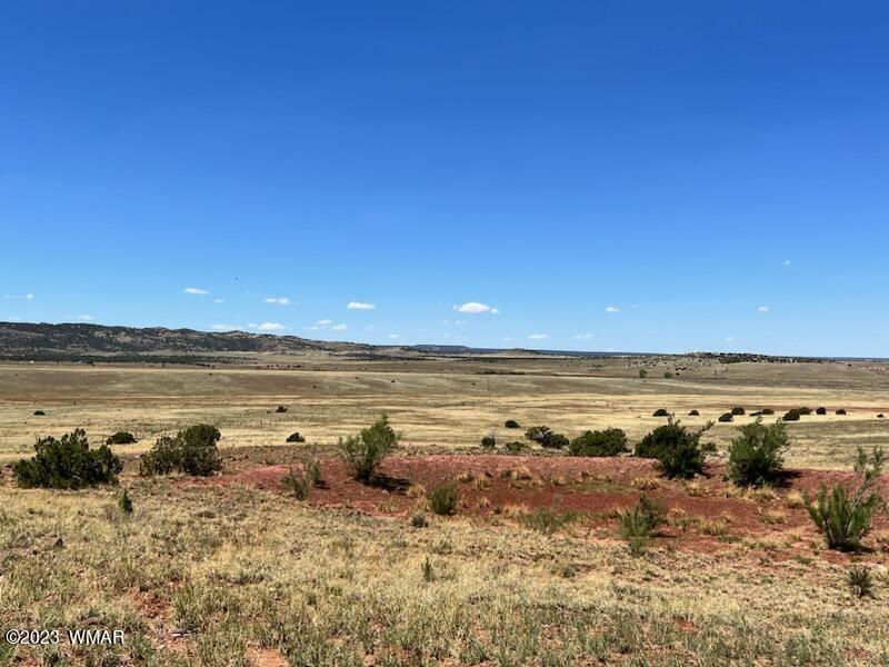 30 County Road Concho, AZ 85924 - Photo 27 of 30