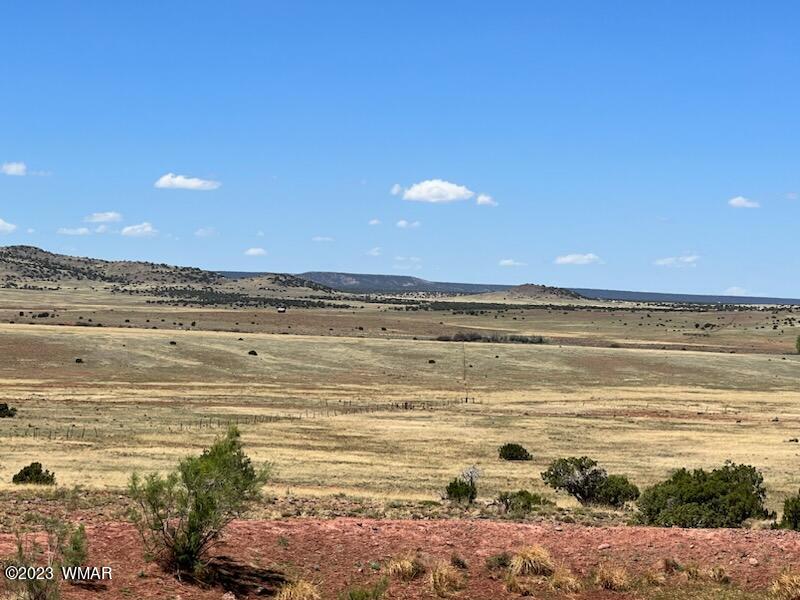30 County Road Concho, AZ 85924 - Photo 28 of 30