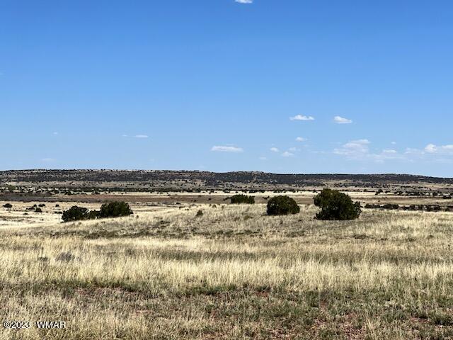 30 County Road Concho, AZ 85924 - Photo 7 of 30