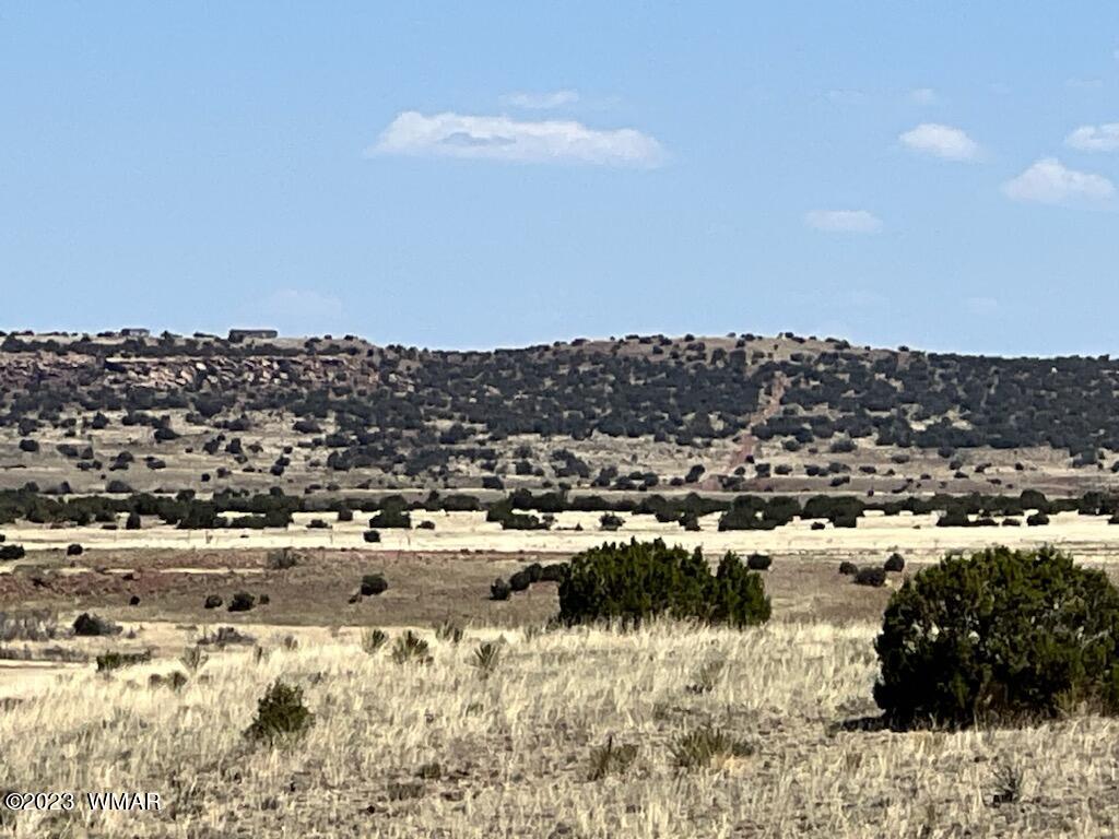 30 County Road Concho, AZ 85924 - Photo 8 of 30