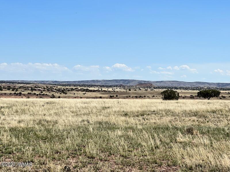 30 County Road Concho, AZ 85924 - Photo 9 of 30