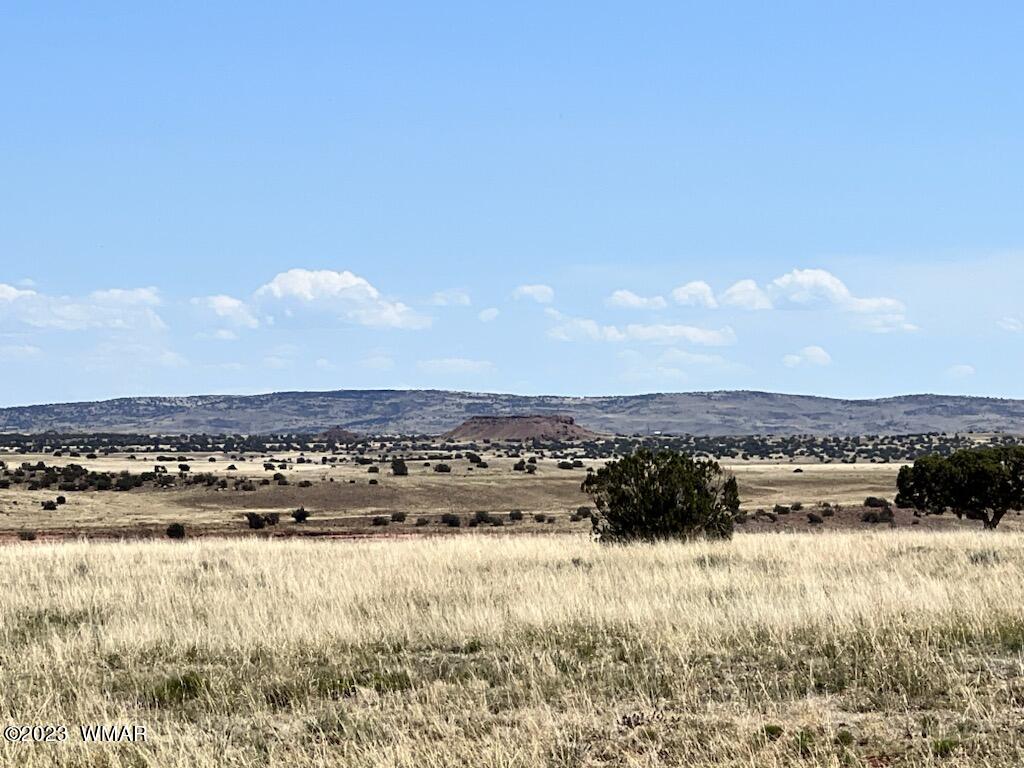 30 County Road Concho, AZ 85924 - Photo 10 of 30