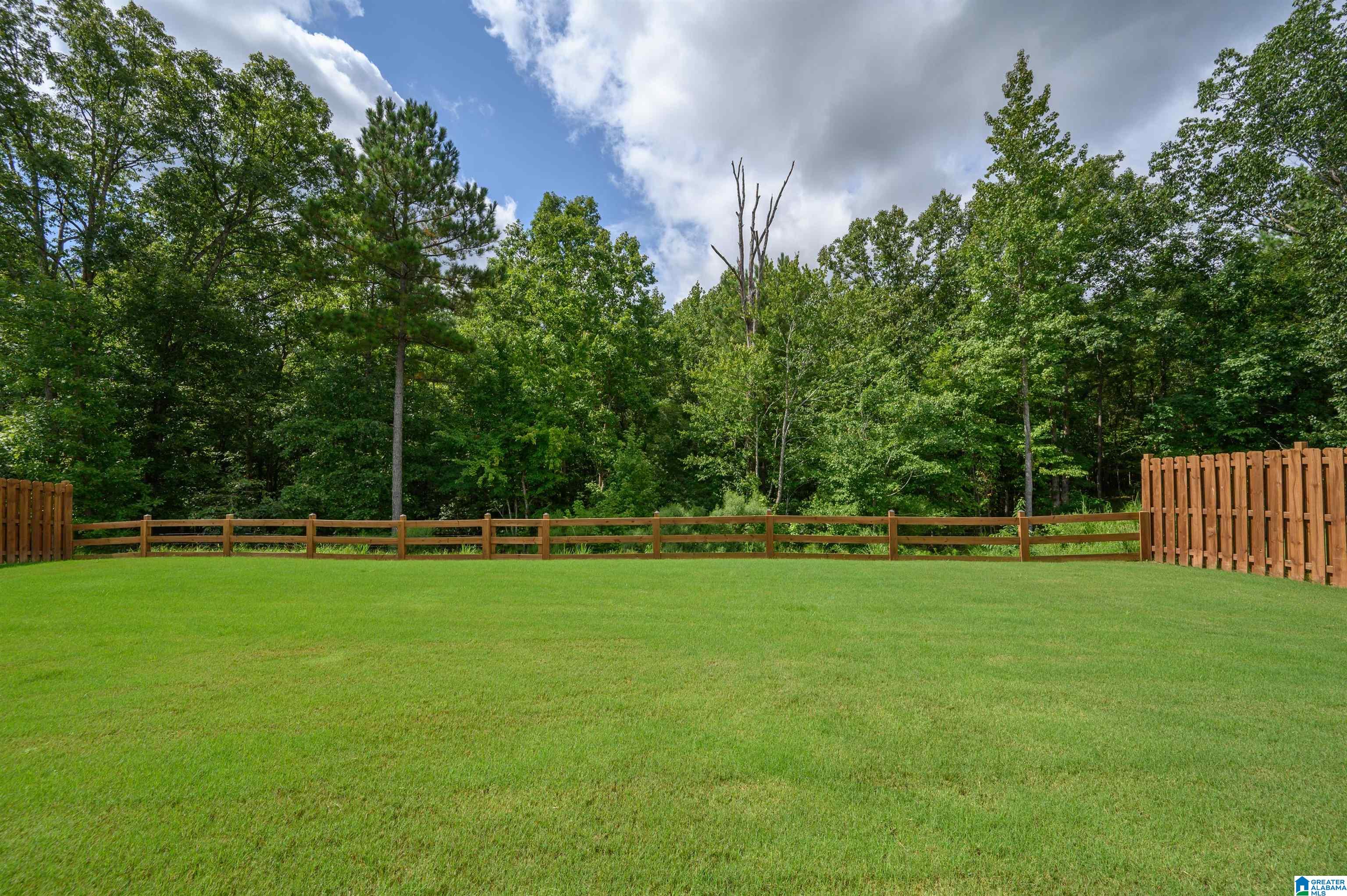 487 Ballantrae Road Pelham, AL 35124 - Photo 51 of 54