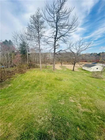 a view of yard with large tree