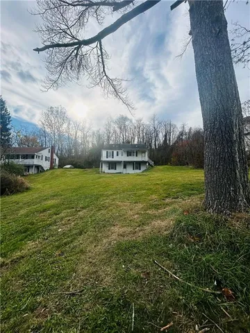 a view of a trees in a yard