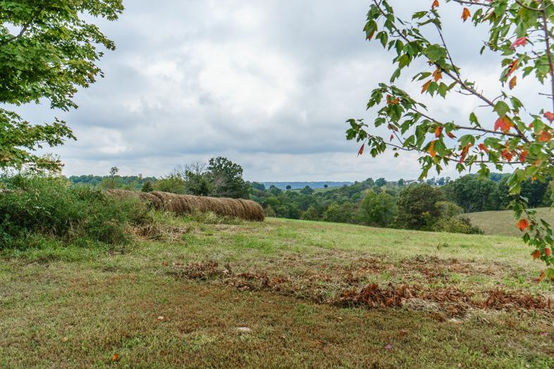 500 Sipple Road Dry Ridge, KY 41035 - Photo 28 of 30