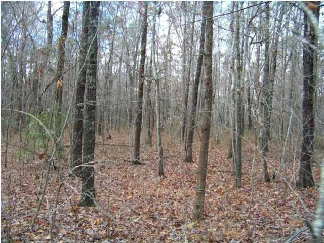 33 Jackson Point Road Sewanee, TN 37375 - Photo 1 of 1 Primary Photo