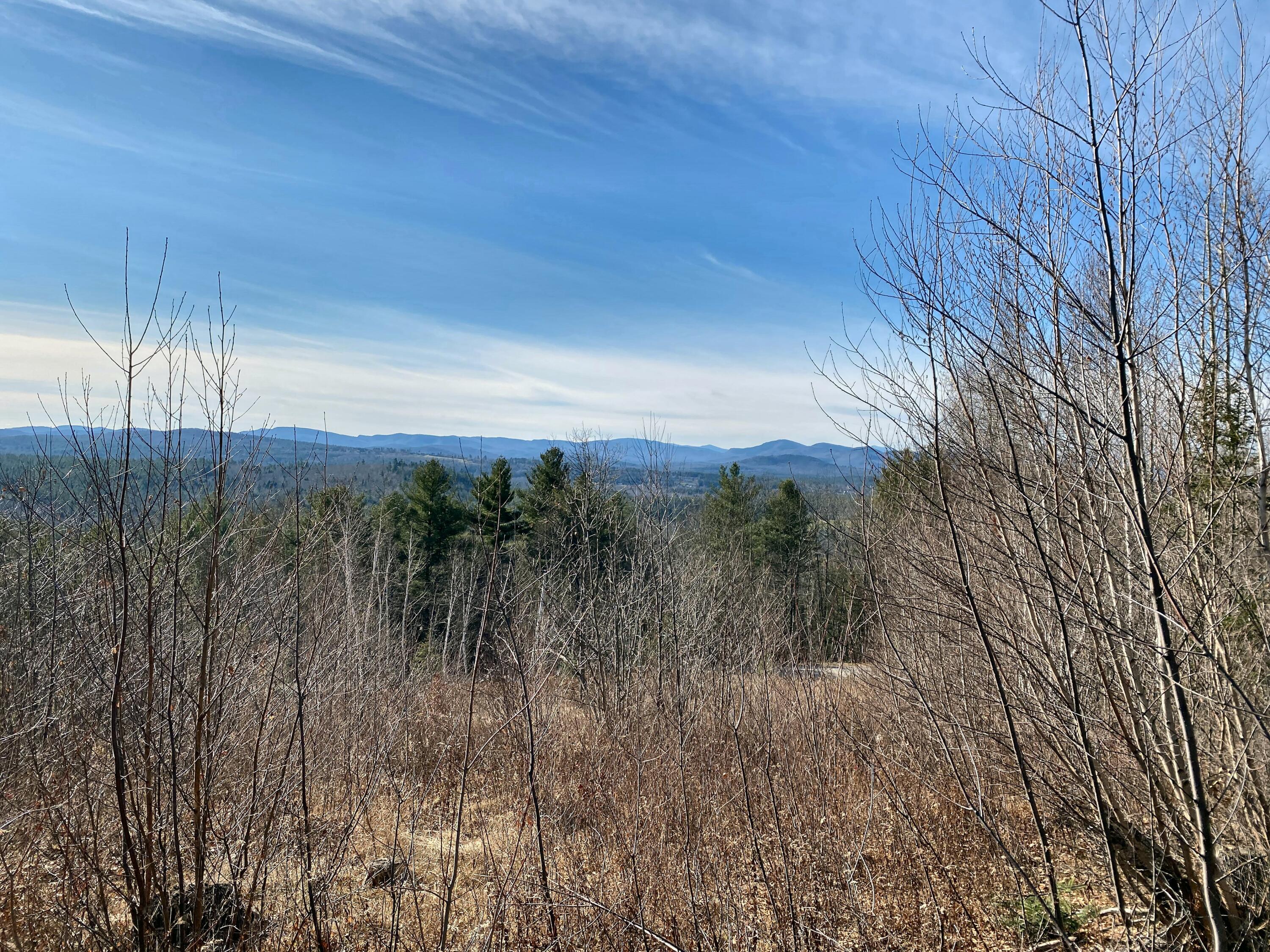 Lot #9 Taylor Smith Road Bethel, ME 04217 - Photo 22 of 22 Ground level upper lot