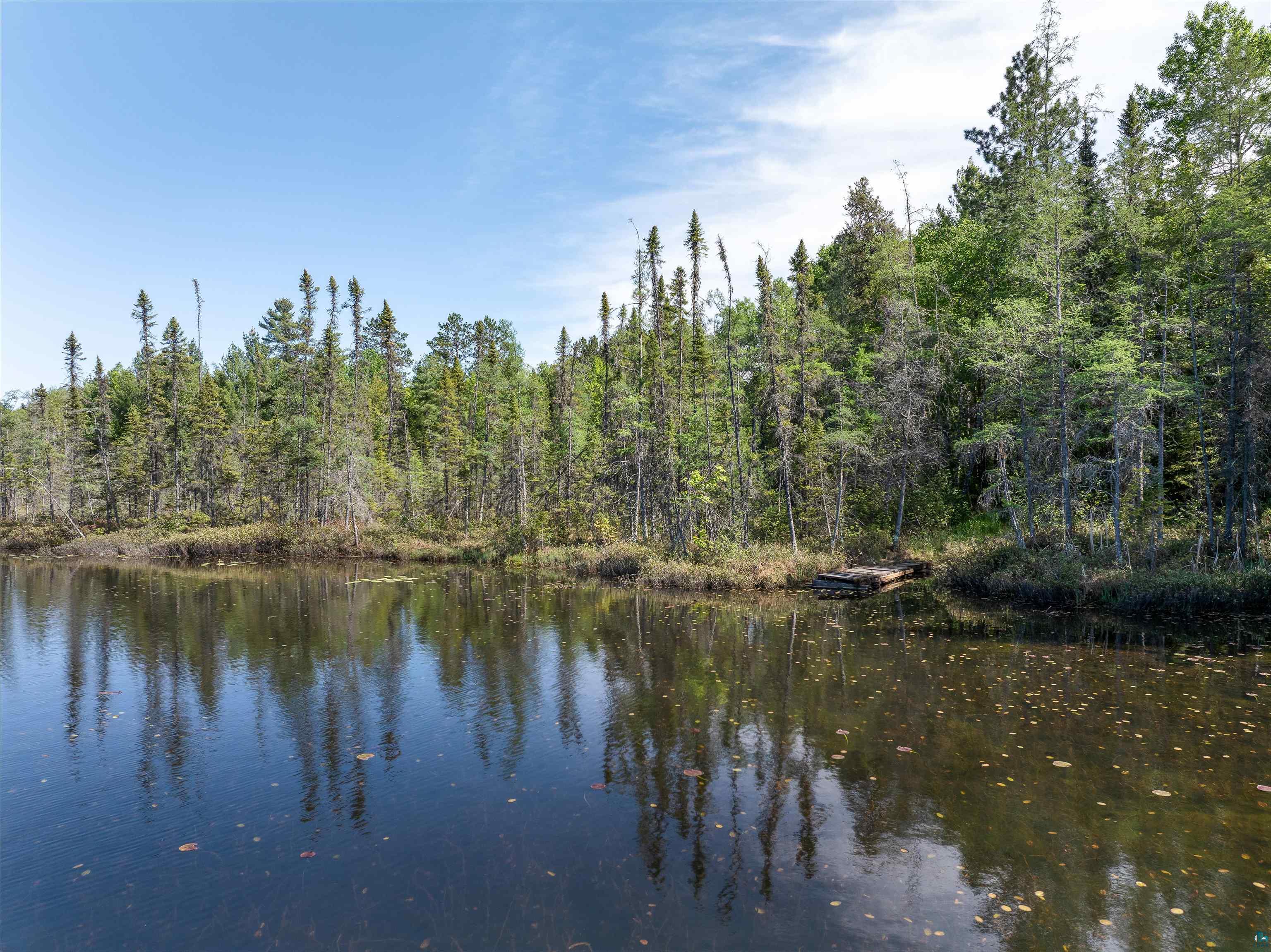 9064 Peppard Road Britt, MN 55710 - Photo 2 of 40 Forested shoreline with dense evergreen and deciduous trees, featuring a calm body of water with reflections