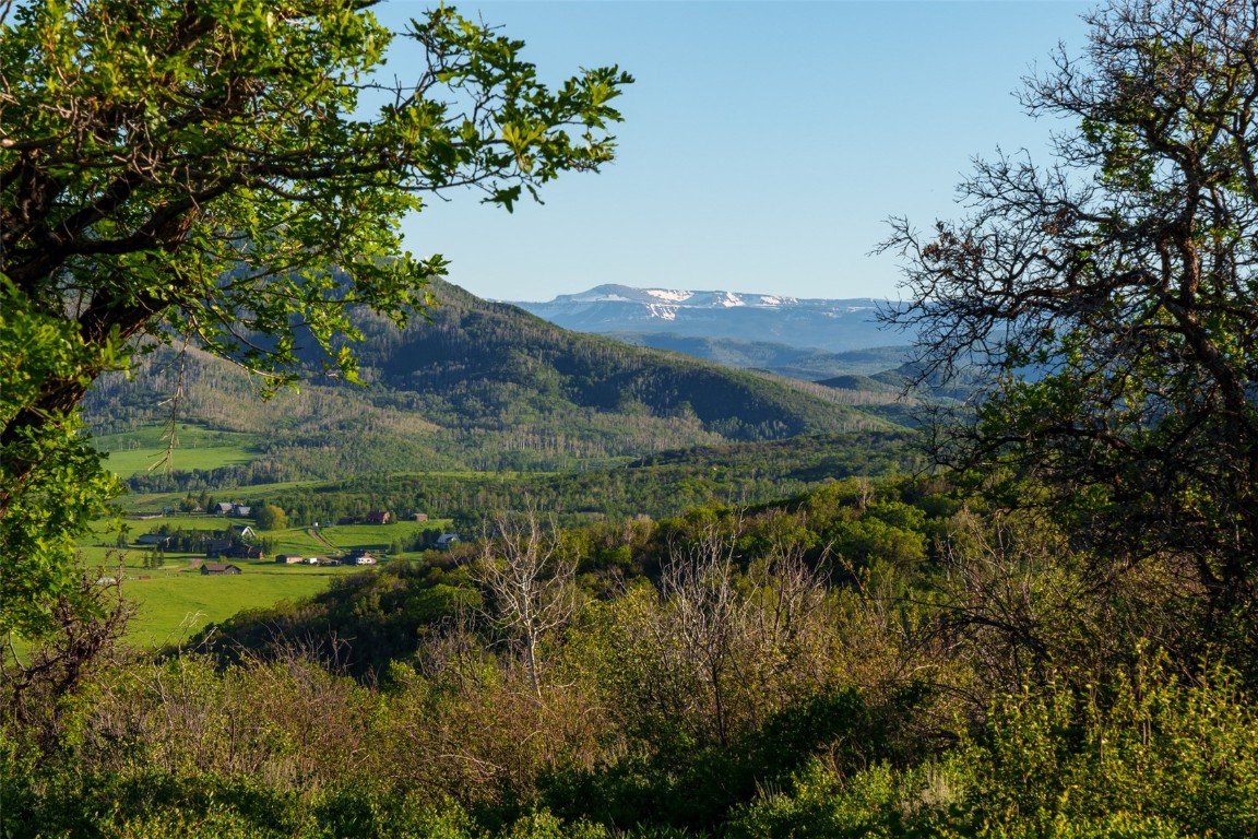 28100 Columbine Ridge Road Steamboat Springs, CO 80487 - Photo 20 of 43 a view of a lake with a forest