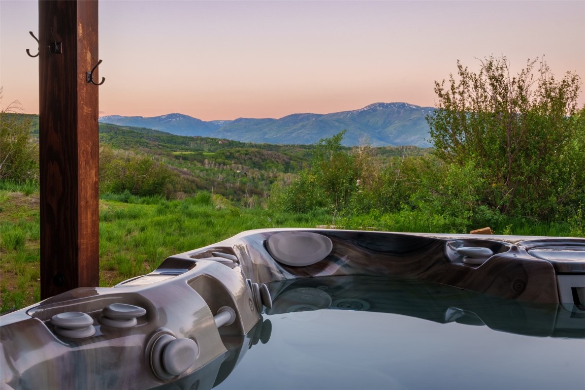 28100 Columbine Ridge Road Steamboat Springs, CO 80487 - Photo 27 of 43 a view of a yard with patio