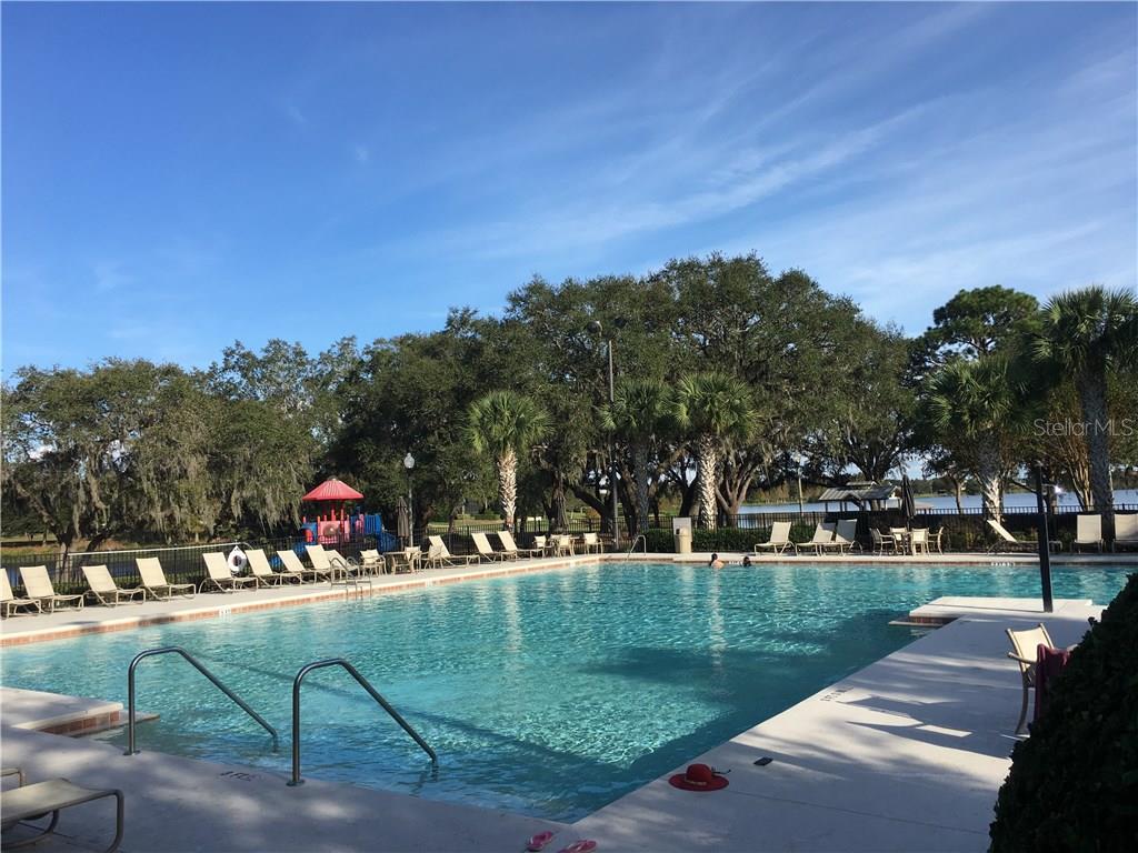 4709 Indian Deer Road Windermere, FL 34786 - Photo 17 of 25 Community Pool