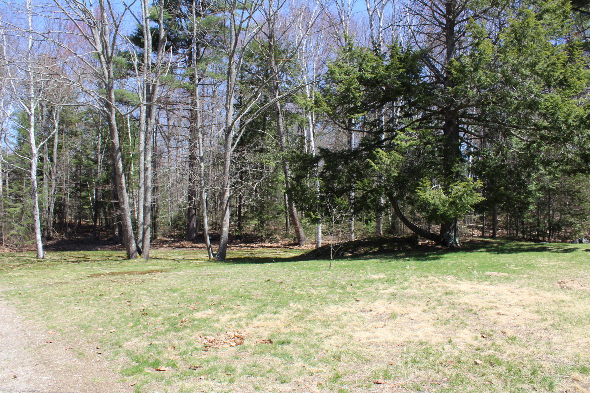 146 Higgins Hill Road Morrill, ME 04952 - Photo 53 of 60 Jordan Morrill (13)