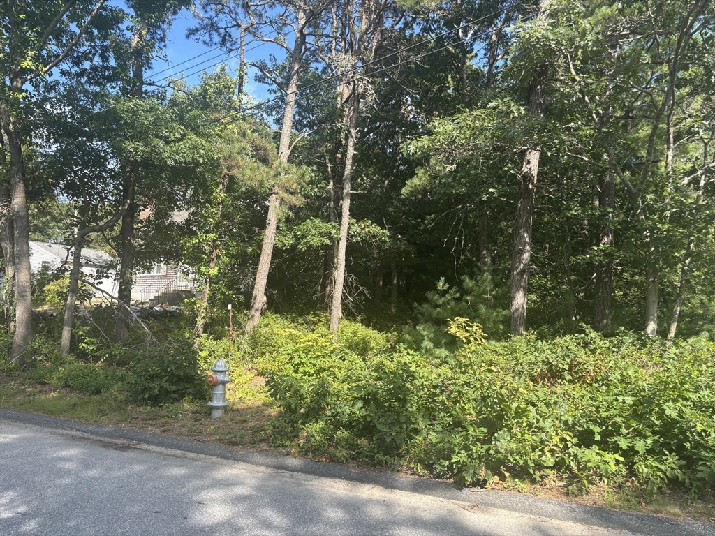 8 Blackbird Avenue Wareham, MA 02538 - Photo 4 of 9