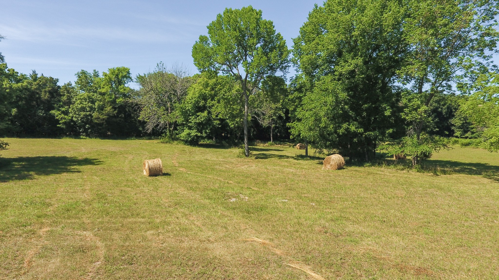 224 Fly Road Shelbyville, TN 37160 - Photo 9 of 15 Gallery Image 9
